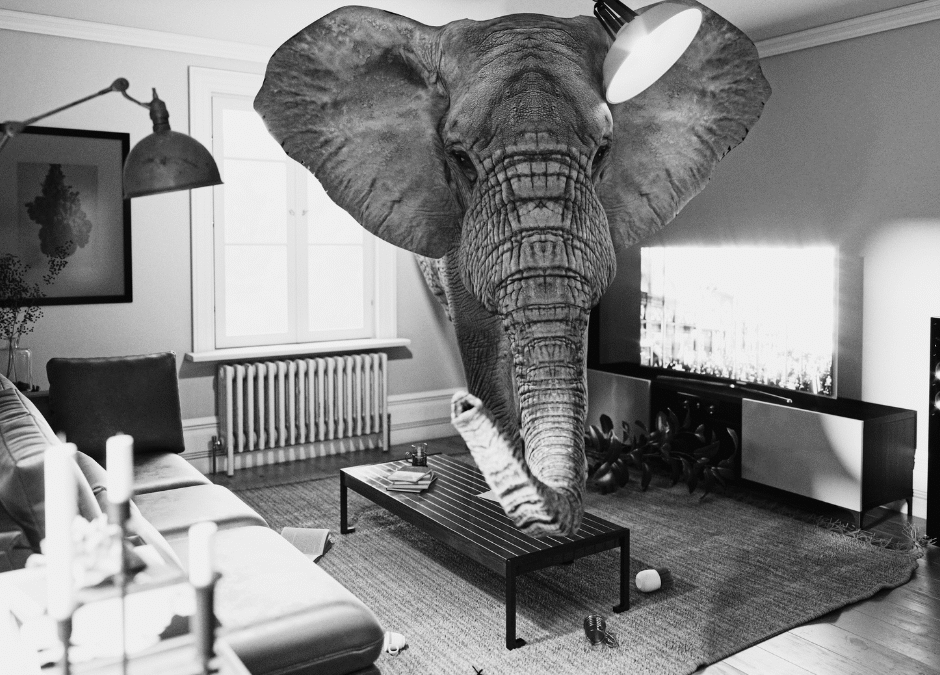 De metafoor voor je leven; inzicht voorbij woorden